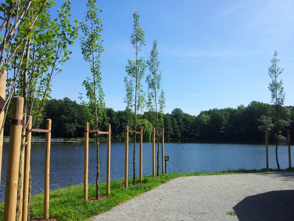 Der Volkspark Jungfernheide mit Blick auf ein Ufer bzw. Wasser